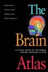 The Brain Atlas: A Visual Guide to the Human Central Nervous System