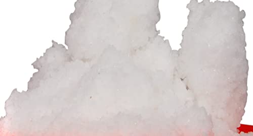 RPR Organic Camphor Powder, 1kg (500g X 2 Jars), White