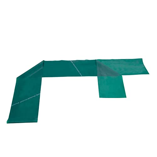 Theraband Heavy Resistance Latex Exercise Band 10 Feet(Length) x 5 Inches(Width) Green (B073SZDZTW) Amazon Price History, Amazon Price Tracker