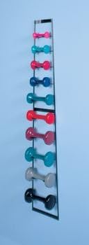 DSS Wall Mounted Dumbbell Rack