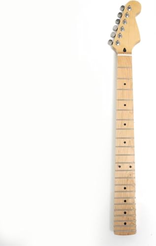 22tbgM^[lbNACvM^[lbNA[YEbhCvwAvCXg[ꂽ6 R`[i[AtF_[̃X^[gX^C̃M^[̌ip (Cvw)