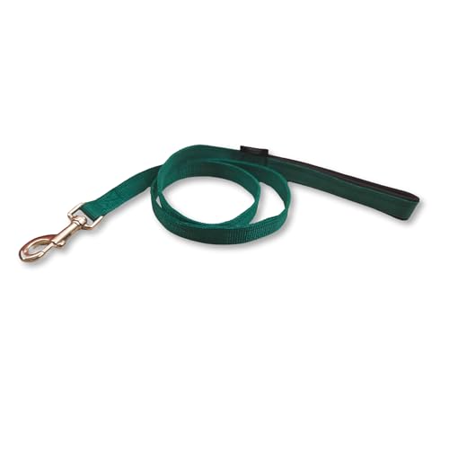 Heavy Duty Polyester Dog Leash | Strong Hook and Soft Padded Handle Long Dog Leash | Leash for Medium and Large Dogs | 4 Feet, Green, 20 mm Width