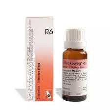 See full amazon price history chart for Dr Reckeweg R6 (Gripfektan) (22ml) Dr Reckeweg R6 (Gripfektan) (22ml) (B0CCWN9Y3C) Amazon Price History, Amazon Price Tracker