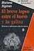El breve lapso entre el huevo y la gallina/ The Brief Laps between the Egg and the Chicken: Historias Y Reflexiones Sobre La Ciencia/ History and Reflections About Science