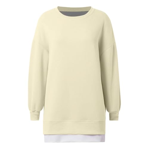 Pull femme manches longues ample et chaud pour masquer les complexes avec style A142