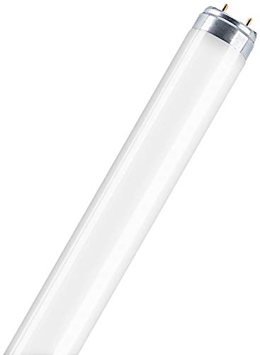 Osram L15865 - L 15W/865 Flh1 Osram