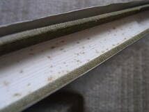 Amazon.co.jp: Sarah Moon サラ・ムーン Souvenirs Improbables 写真集