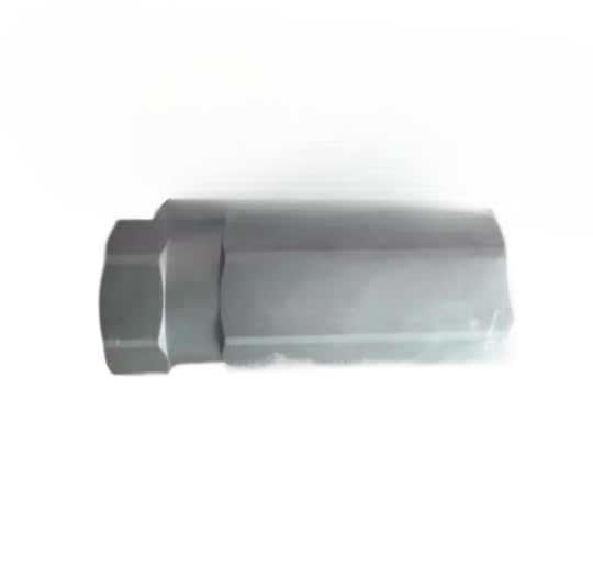 1pcs new non-return valve T55C4800