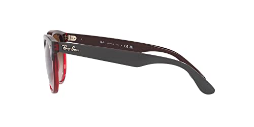 Ray-Ban RB4471 Iris Round Sunglasses4