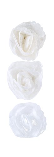 Martha Stewart Crafts - Pegatinas Decorativas, diseño de Flores Cover