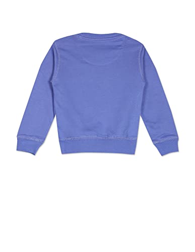 Image of U.S. POLO ASSN. UKSWSON0130 FS Round NCK SWS, ES Sweatshirts LT. Purple