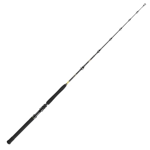 DAIWA BG Big Game canne 1,68m en 3 parties pour vos sessions de pêche en mer