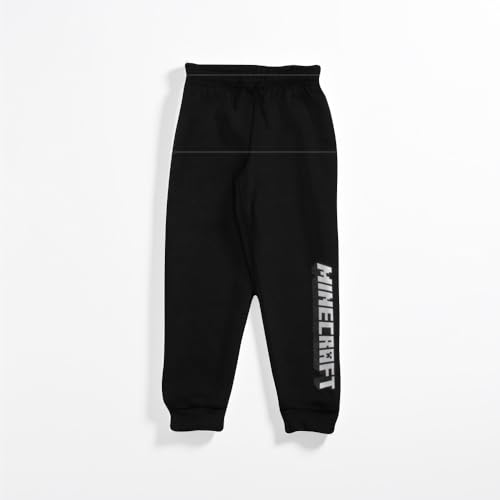 Minecraft Boys Minecraft3