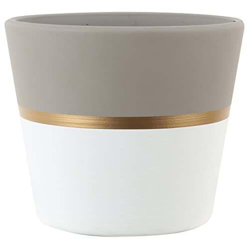 Costa Farms Swiss Cheese Plant, Monstera Deliciosa & Money Tree Mini Pachira, Ships In Ceramic Planter, 10-Inches Tall, Great Gift Or Home Décor #TOP5