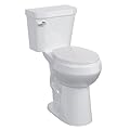 Two-Piece Toilet for Bathroom, Toilet with Height 21" Extra Tall, Round Soft Close Seat, Powerful Flush