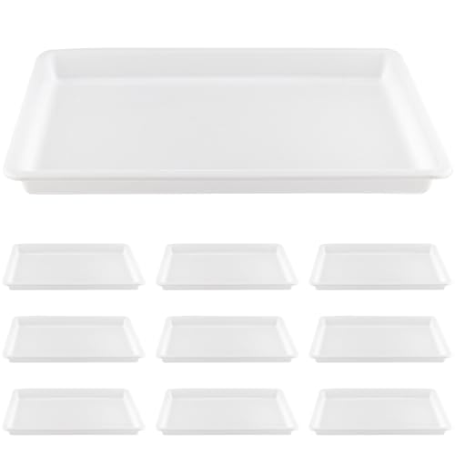 MOUYAT 10 bandejas grandes de plástico para actividades, color blanco, para manualidades, para escuela, hogar, proyectos de bricolaje, pintura, cuentas, suministros de organización, 39 x 29 x 4 cm
