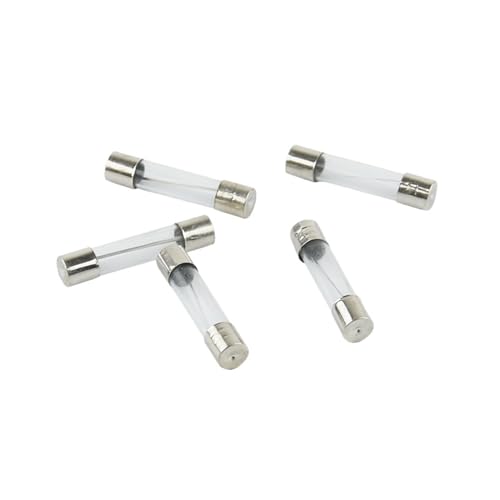 Fusible en verre 6x30 mm 6A doté d'un filament à action rapide