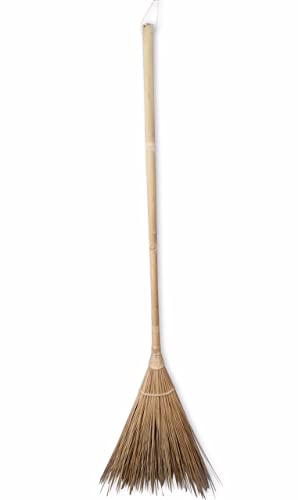 Best Broom For Wet Leaves