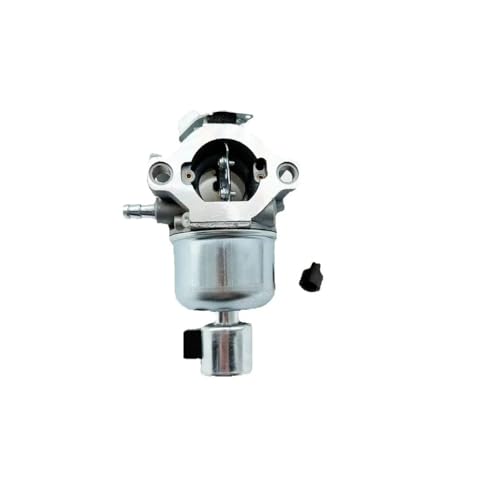 Carburateur de moto pour BS 791889 moteur de tondeuse modèle 28N707