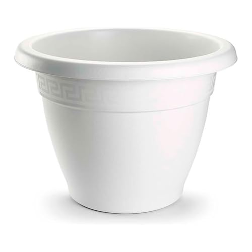 AC: Maceta Terracota   Plástico Resistente
