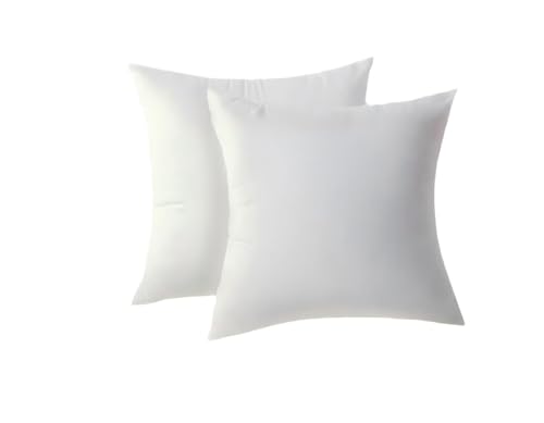 Set 2 Almohadas Hamaca 20x20in 100% Poliéster