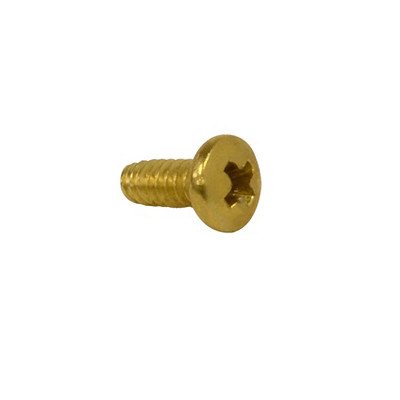 Screw for Brass Mailbox Door