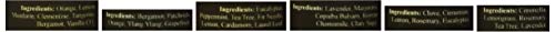 Essential Oil Blends for Aromatherapy - Best 6 blend set 100% Pure Therapeutic Grade
