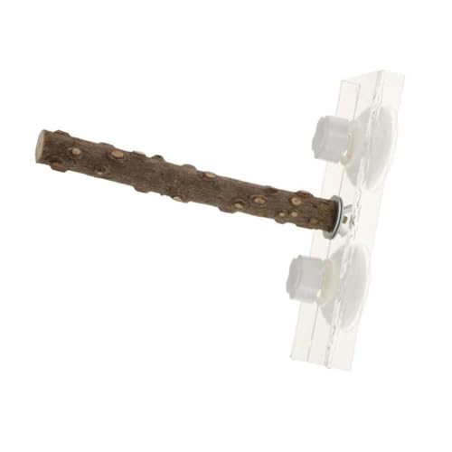 BESPORTBLE 2 Pcs Parrot Toys for Small Medium Birds Suction Cup Stand Portable Training Stand Ladder