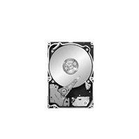 Seagate Constellation.2 ST9500620SS 500 GB Internal Hard Drive