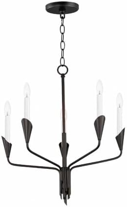 Maxim Calyx - 5 Light Chandelier -Traditional Installation