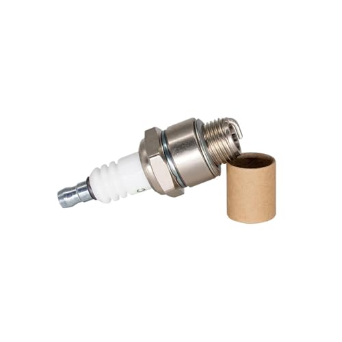 Bougies d'allumage à bornes à vis B4LM RJ19LM pour tondeuse et motoculteur - Lot de 6 pièces avec boîte