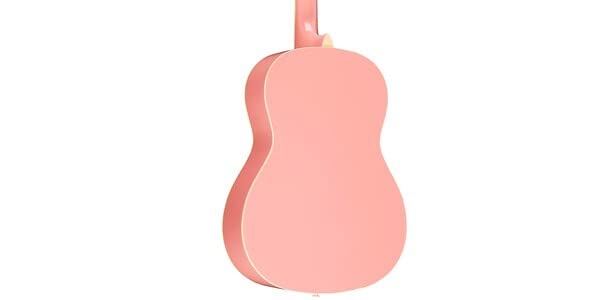 Rogue(ローグ) Rogue Starter アコースティックギター 6弦 Amazon | Rogue（ローグ） Rogue Starter Acoustic Guitar Pink