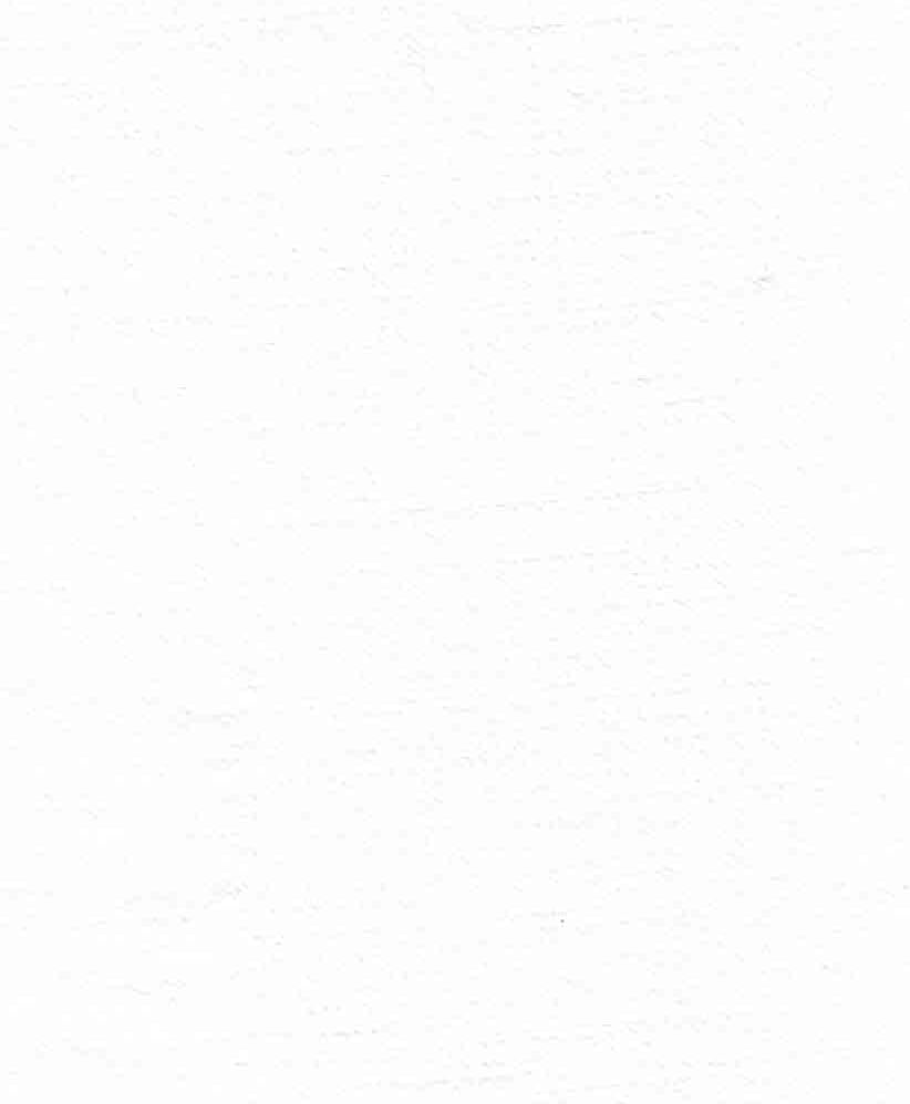 Richlin Fabrics3 Yard Pack 55" White Linen
