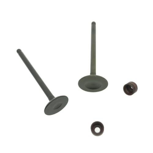 Joint d'huile de tige de soupape pour scooters QS100T et QS125T-2