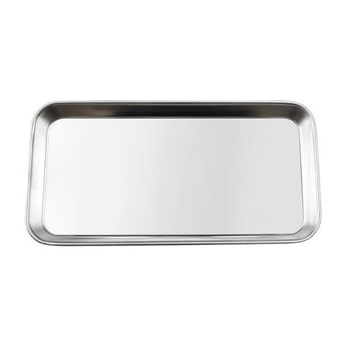 Tabanzhe Stainless Steel Tray Dental Lab Tools Instruments Supplies Rectangular Tray For Lab, Bathroom Organiser, Tattoo Tool Tray