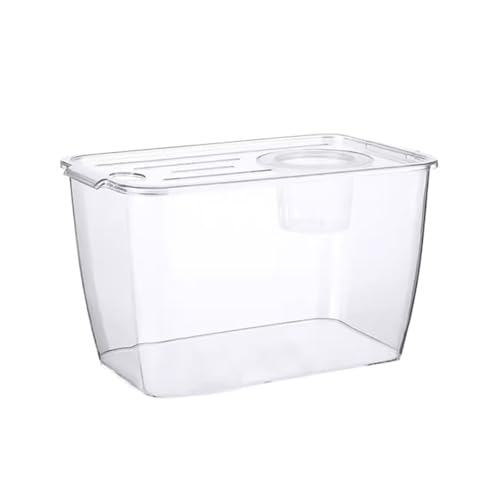 Acuario cuadrado acrílico para decoración de escritorios y organización 2