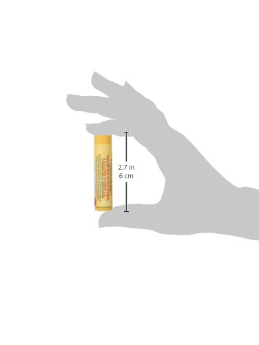 Burt's Bees Beeswax Lip Balm Tube, 15-Ounce Tubes (Pack of 4)