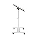 TigerDad Over Bed Table with Wheels Adjustable | Rolling Laptop Table Overbed Desk Hospital Tray Table Sofa Chair Side Table for Home Office (White)