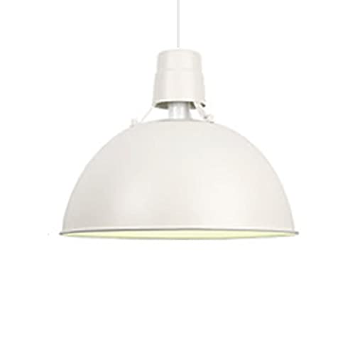 Lampe suspendue LED moderne 1 lumière pour restaurant et bar