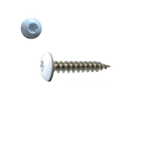 Vis penture 6x50 mm inox A2 blanc RAL 9010 contre la rouille des volets
