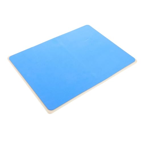 Mikikit Taekwondo Training Board Sparring Gear Practice Board Taekwondo Gear Karate Boards for Breaking Taekwondo Boards Karate Boards Punching Board Plastic Blue