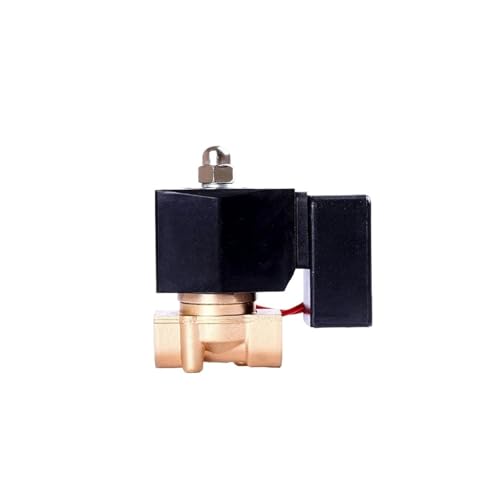 Électrovanne normalement fermée 1-1/4 acier inoxydable 12VDC joint Viton pour circuits fermés