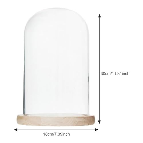 Cloche en verre pour objets de collection pour protéger de la poussière - 7