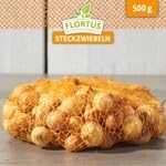 FLORTUS – Wintersteckzwiebel Stuttgarter Riesen 500 g Netz zertifiziertes Pflanzgut – Zwiebelgröße 8-21 mm, für den Anbau von mild-scharfen, goldenen & lagerfähigen Zwiebeln – Für Garten & Hochbeet