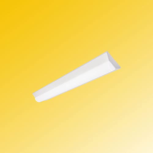 txm^ LEDx[XCg ^ 20`u 2 F5000K 1600LM txmLEDu 63cm V䒼t^ txmLEDƖ  d10W Lb`x[XCg VƖ {ݗp mCYX PLیς 1