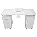 Tavolo Professionale per Manicure in MDF: 120x45cm, 3 Cassetti, Armadietto, Collettore Polvere 6W, Cuscino Ergonomico, 8 Rotelle Frenanti, Rivestimento Melaminico Igienico immagine