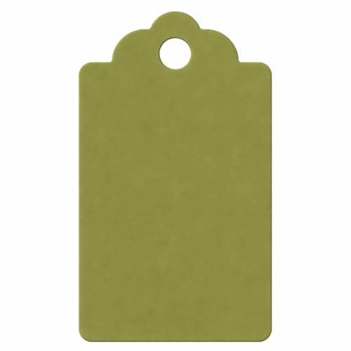 Image of CVANU 150pcs Premium Color Tag Blank Hanging with Pre-Punched Hole Tags for DIY Crafts, Gift Wrapping, Labelling & Writable Decorative Tags for All Occasions (2.85in X 1.7in) Mehendi Green