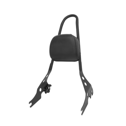 Dossier passager moto haut de gamme en acier noir pour Street 750