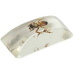 Fake Ice Cube with Bug