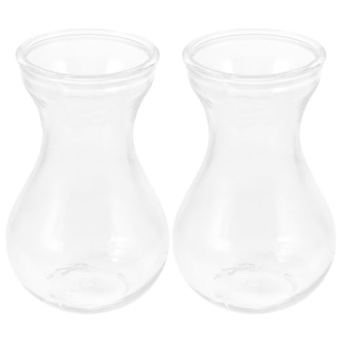 IMIKEYA Lot De 2 Vases en Verre pour Plantes Hydroponiques Contenants Décoratifs pour Bulbes De Jacinthe